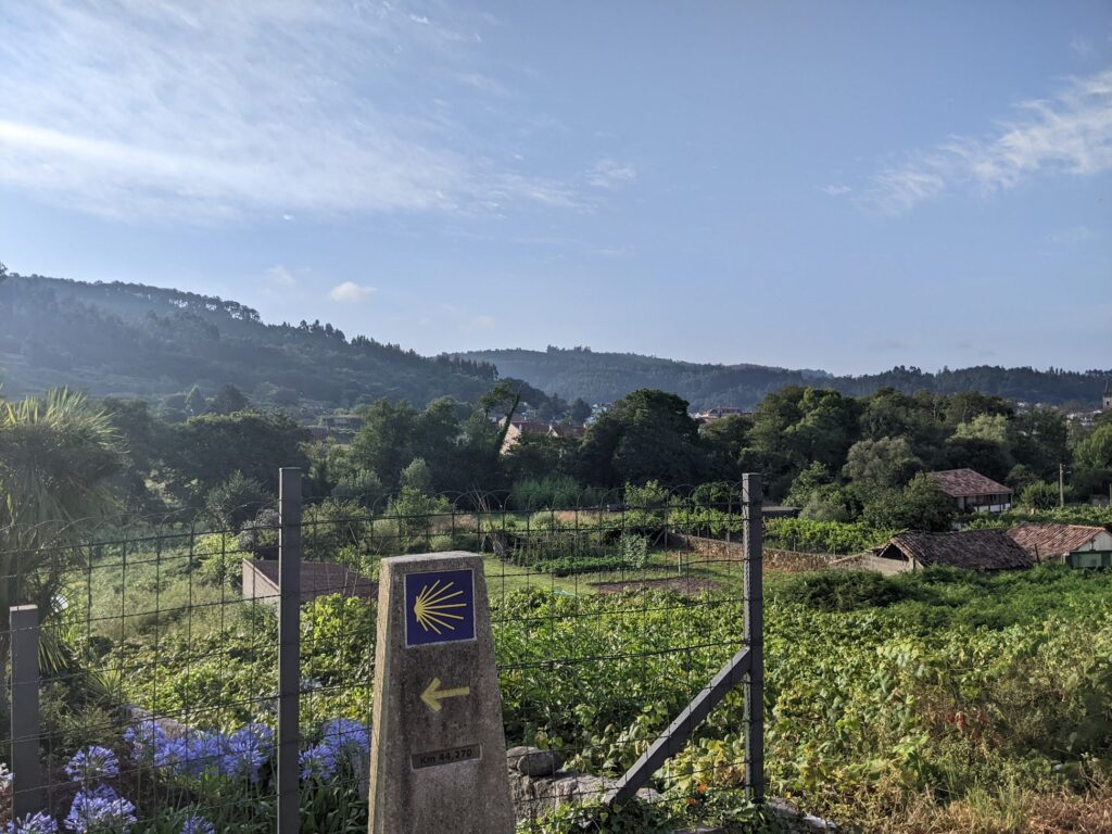 PXL_20220724_070833084
